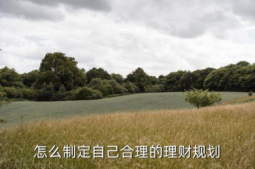 怎么制定自己合理的理财规划