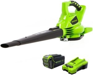 Greenworks 40V (185 MPH) Brushless Cordless Blower 树叶吸尘器