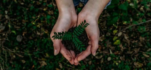 开启可持续生活方式的 10 种方法