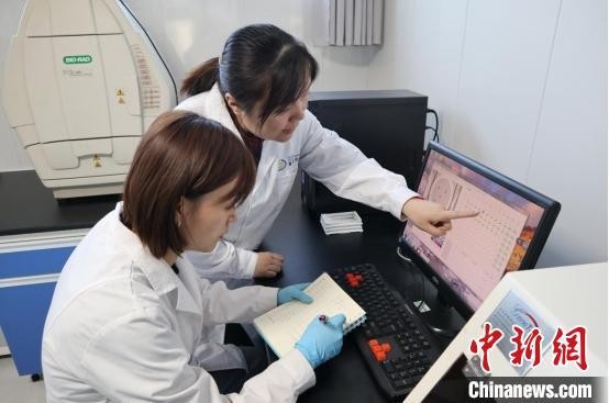 图为吕文霞指导检测人员分析种薯质量检测数据。张蜀雁摄