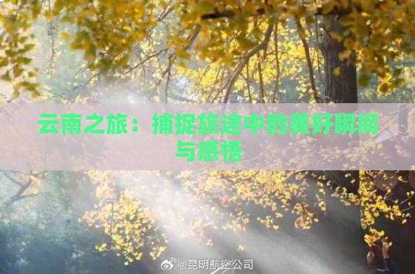 云南之旅：捕捉旅途中的美好瞬间与感悟