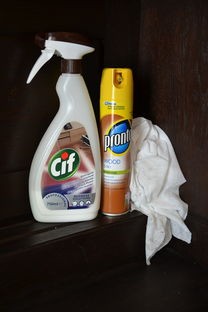 小熊品牌空气净化器，守护您的呼吸健康，打造清新家居环境