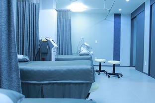 AirDog品牌空气净化器，守护您的呼吸健康，打造清新家居环境