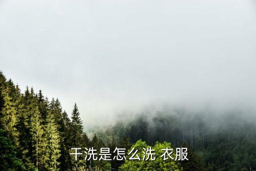  干洗是怎么洗 衣服