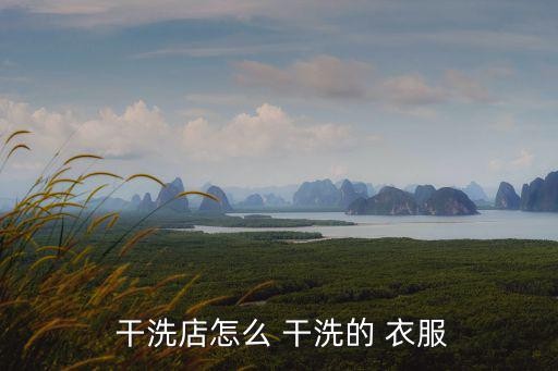  干洗店怎么 干洗的 衣服
