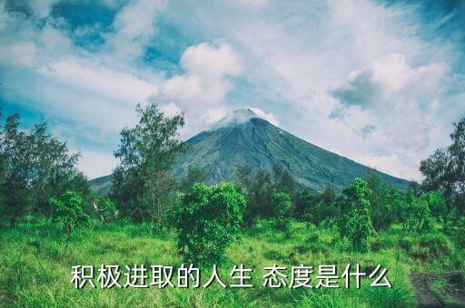 积极进取的人生 态度是什么