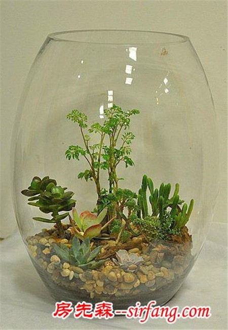 家庭绿化装饰的6种形式