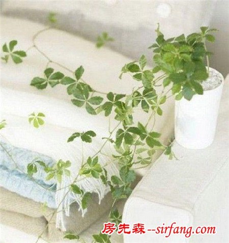 家庭绿化装饰的6种形式