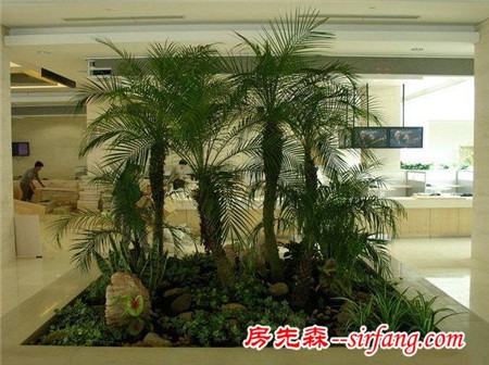 家庭绿化装饰的6种形式