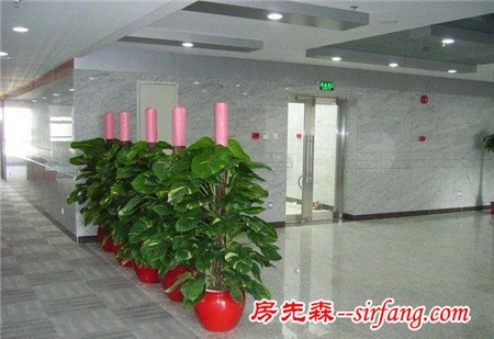 家庭绿化装饰的6种形式