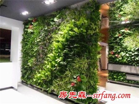 家庭绿化装饰的6种形式