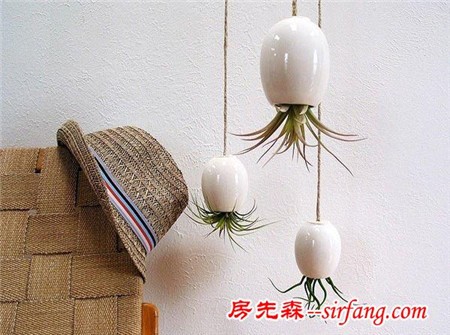 家庭绿化装饰的6种形式