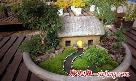 家庭绿化装饰的6种形式