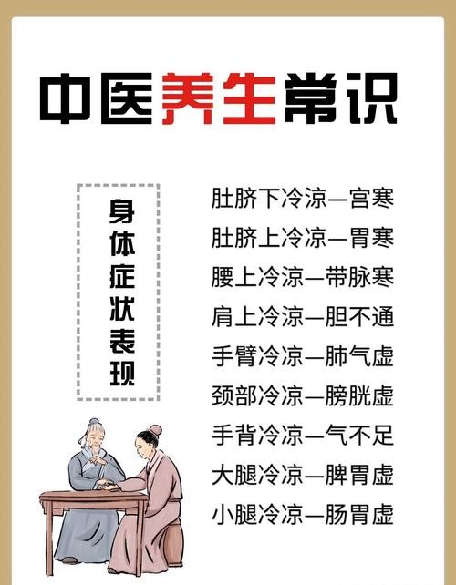 中医家庭养生大全，打造健康生活的秘诀