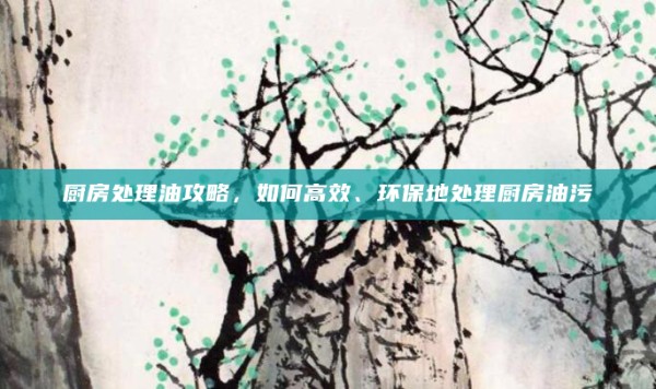 厨房处理油攻略,如何高效、环保地处理厨房油污