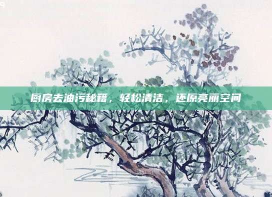 厨房去油污秘籍,轻松清洁,还原亮丽空间