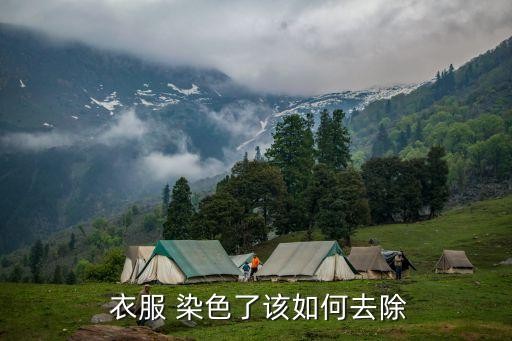  衣服 染色了该如何去除