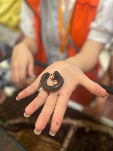 很有趣的昆虫博物馆，值得带孩子们去体验