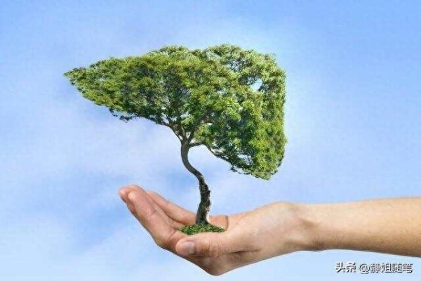 人生最好的活法，心态阳光，积极向上，坚强乐观