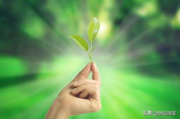人生最好的活法，心态阳光，积极向上，坚强乐观