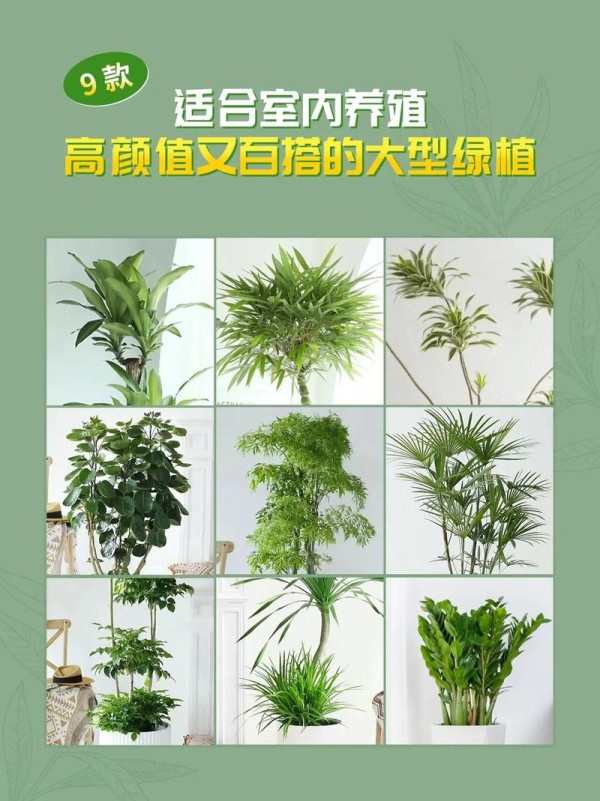 绿值都有哪些项目