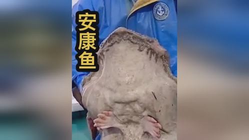 安康鱼，虽然真的不太好看但是口感却很好