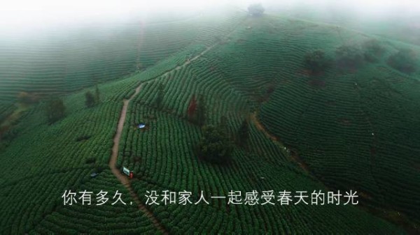 更大空间满载全家的幸福，魏牌蓝山DHT- PHEVC位出道……