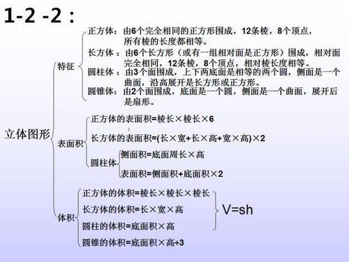 宠物训练小技巧,数学知识轻松学!