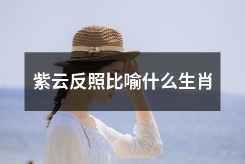 紫云反照比喻什么生肖