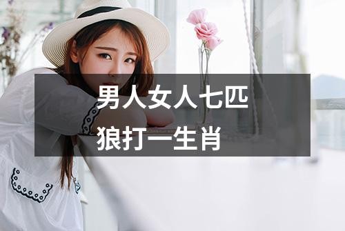 男人女人七匹狼打一生肖