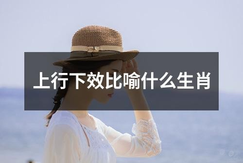 上行下效比喻什么生肖