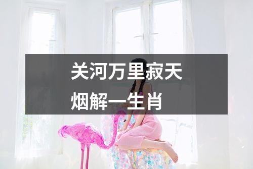 关河万里寂天烟解一生肖