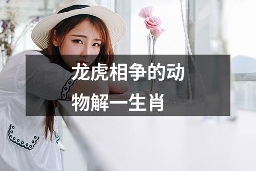 龙虎相争的动物解一生肖