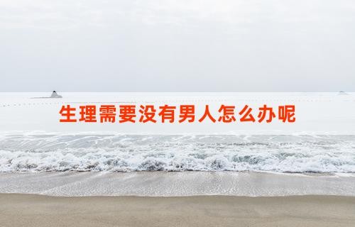生理需要没有男人怎么办呢