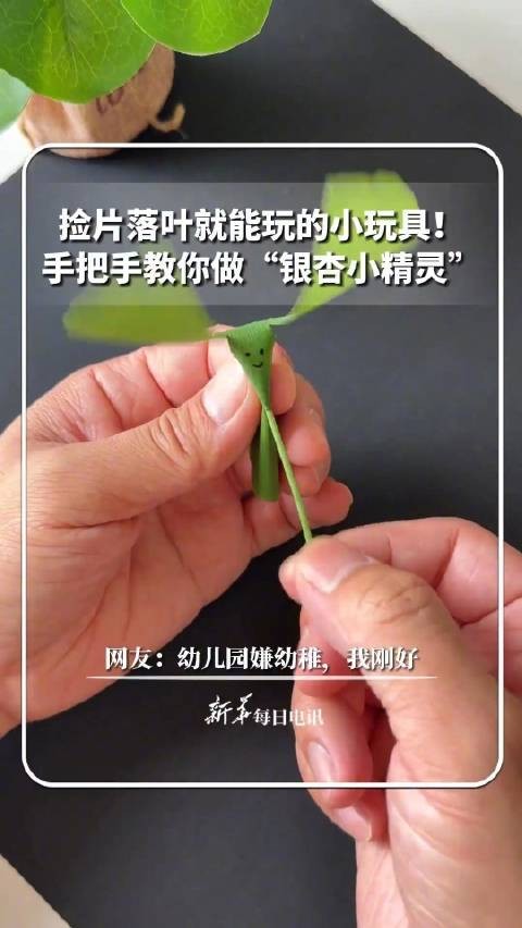 收藏!捡片落叶就能玩的小玩具