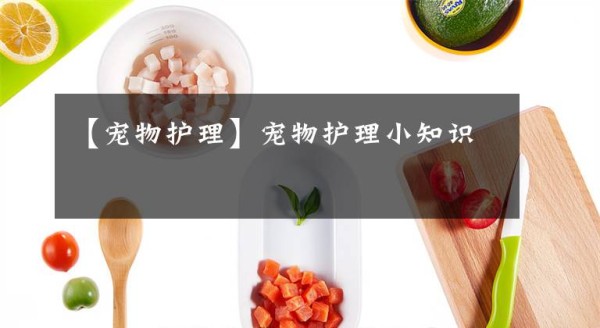 【宠物护理】宠物护理小知识文章配图