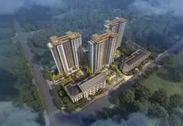 住总6004-20200519-li