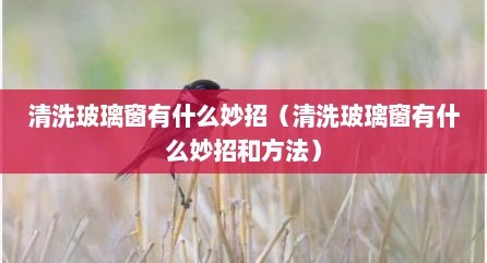 清洗玻璃窗有什么妙招（清洗玻璃窗有什么妙招和方法）