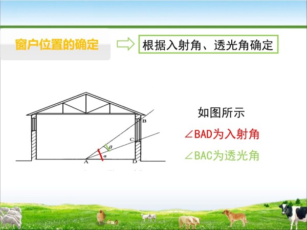 畜禽舍环境调控-畜禽舍光照控制（养殖场环境控制与废弃物治理）_第3页