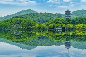 "乌鸦定律":父母与子女关系的新解读,让人深思!图片