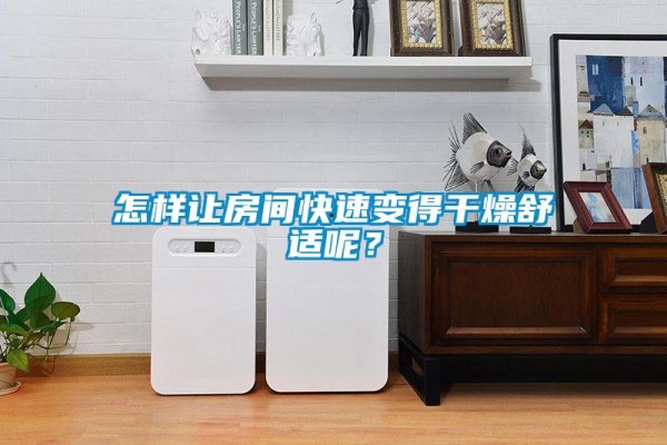 怎样让房间快速变得干燥舒适呢？