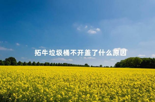 拓牛垃圾桶不开盖了什么原因