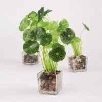 田园高仿真小荷叶盆景绿色植物盆景盆栽迷你小盆景NF0802