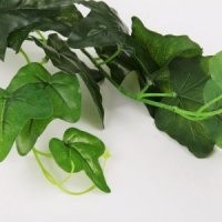 2M高仿真手感藤条常青藤蔓绿叶客厅空调水管道装饰花绿植壁挂NF0099