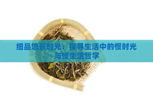 细品悠长时光：探寻生活中的慢时光与慢生活哲学