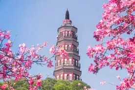 6首闲适诗词:一壶清茶许流年,半卷闲书慰平生!图片