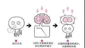 下载-(1).jpeg