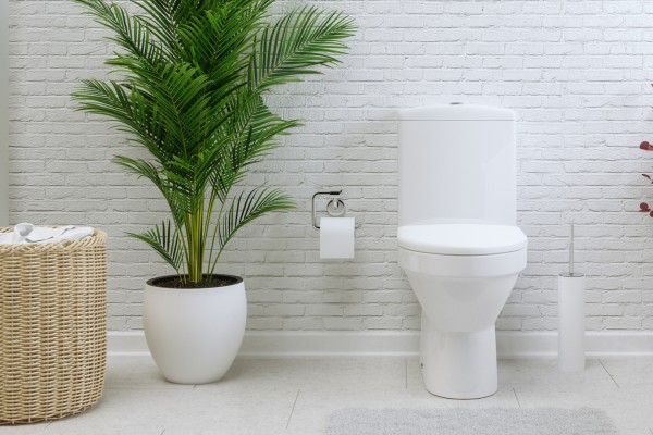 卫生间清洁 Toilet cleaning