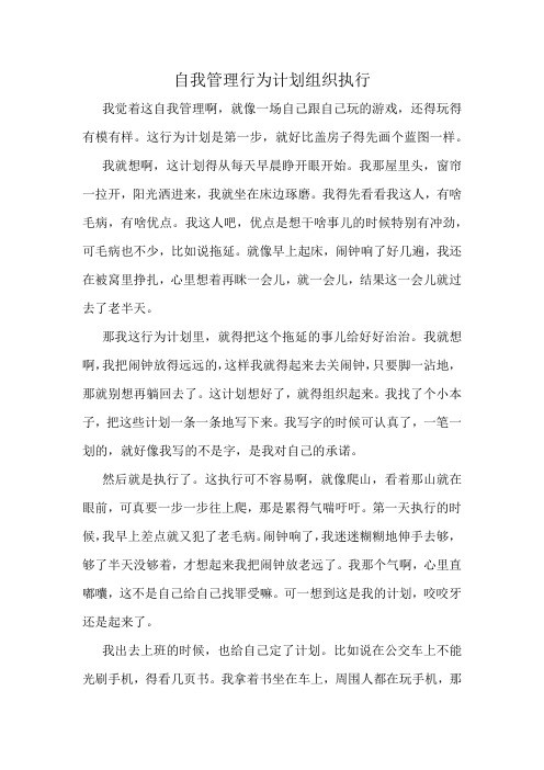 自我管理行为计划组织执行
