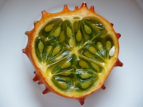 竹节水杯品牌，绿色环保，时尚生活新选择